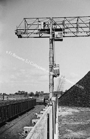 E.S.B. TURF PRODUCTION PLANT